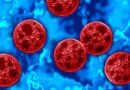 ‘Cyclospora skinny’ trend called dangerous by Arizona medical experts
