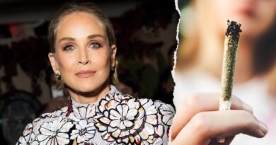 Sharon Stone’s cannabis withdrawal symptoms explained by a doctor