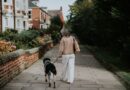 Dog experts settle debate on how much you should walk your dog