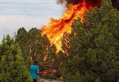 Utah helicopter crash: Chopper battling raging fire caused by lightning plunges