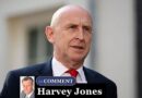 John Healey’s next tax grab is pure madness – even Rachel Reeves wasn’t this unhinged