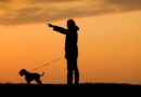Dog owners issued urgent advice as rare solar eclipse hits UK during evening walks