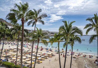 Horror on Canary Islands as rats spotted on Gran Canaria beaches
