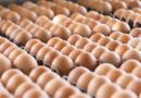 Egg warning for UK shoppers as tiny mark could help avoid salmonella