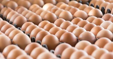 Egg warning for UK shoppers as tiny mark could help avoid salmonella Egg warning for UK shoppers as tiny mark could help avoid salmonella