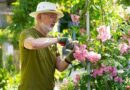 Gardeners issued 'do not' warning for your lawn after hot weather with rain on the way