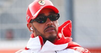 Lewis Hamilton makes five-word Ferrari demand after Dutch Grand Prix row