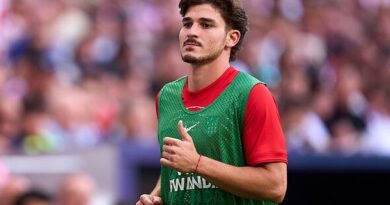 Arsenal fans all say the same thing as Julian Alvarez brutally snubs Mikel Arteta transfer