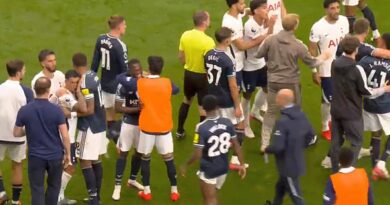 Tottenham and Newcastle players separated at full-time as tempers flare on pitch