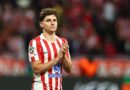 Julian Alvarez to Arsenal transfer boost thanks to Liverpool selling Cody Gakpo