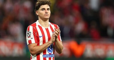 Julian Alvarez to Arsenal transfer boost thanks to Liverpool selling Cody Gakpo