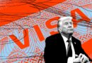 Trump’s new H-1B fee and visa revocations are part of an all-out war on legal immigration