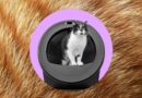 Whisker’s AI-powered litter robot thinks my cats swapped bodies