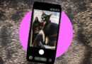 How to take better photos of your pets