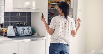 UK households told to unplug fridges in August | Personal Finance | Finance