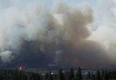 Washington wildfires: Emergency declared as 12 blazes burn and 60k people suffer blackout | World | News