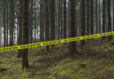 Horror as girl, 9, gang-raped in a field by teenagers | World | News