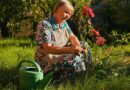 Plants stay alive while you’re away with simple watering method