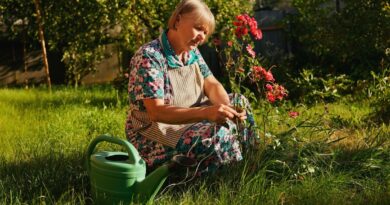 Plants stay alive while you’re away with simple watering method Plants stay alive while you’re away with simple watering method