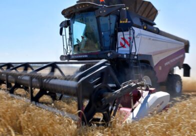 Russian food crisis looms with ‘every fifth farmer facing bankruptcy’ | World | News Russian food crisis looms with ‘every fifth farmer facing bankruptcy’ | World | News