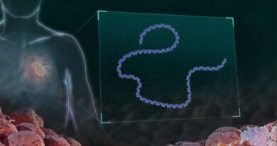 Personalized cancer vaccine stops melanoma from returning or spreading in historic trial
