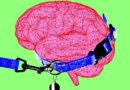 Trump’s AI testing plan is limited and vague