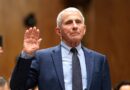 Fauci said ‘no red flags’ after privately raising vaccine miscarriage concern