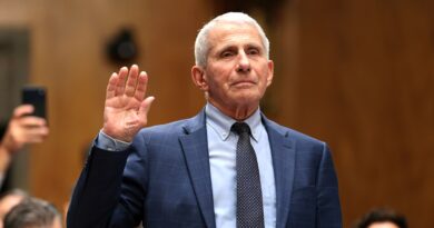 Fauci said ‘no red flags’ after privately raising vaccine miscarriage concern