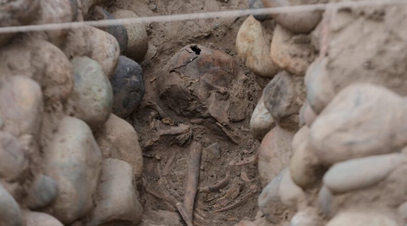 Skeletal remains believed to be person sacrificed during ritual unearthed by archaeologists in Peru