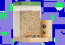 Birdfy’s smart bird feeder is on sale for just $60