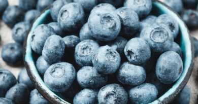 FDA upgrades recall of frozen blueberries sold at Publix to highest health risk level