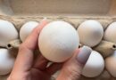FDA upgrades egg recall linked to salmonella to highest health risk level
