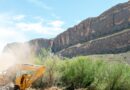 Trump’s border wall push is back — and it’s destroying national parks and 200-year-old trees