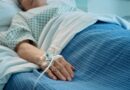 Candida auris cases top 3,437 across 27 US states, CDC data shows