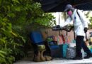Dengue fever outbreak prompts 3 counties to declare states of emergency