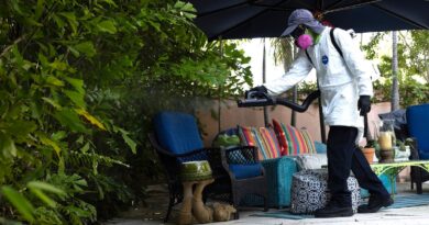 Dengue fever outbreak prompts 3 counties to declare states of emergency