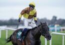 Galopin Des Champs dies days after retiring as Cheltenham icon suffers 'severe' injury