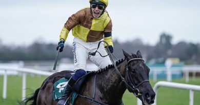 Galopin Des Champs dies days after retiring as Cheltenham icon suffers 'severe' injury