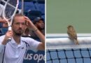 Daniil Medvedev makes US Open complaint as match interrupted in 'crazy situation'