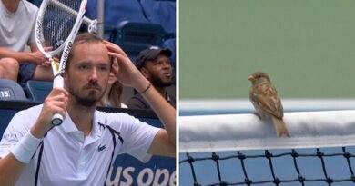 Daniil Medvedev makes US Open complaint as match interrupted in 'crazy situation'