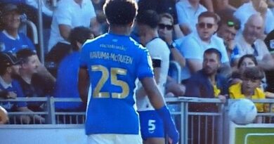 Cardiff star Krystian Bielik appears to grab Portsmouth fan by the neck in wild scenes