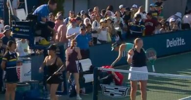 US Open star halts match over opponent's 'disrespectful' behaviour and demands translator