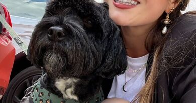M&S launches pet food range and my dog was instantly hooked by 1 tasty treat