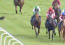 Epsom Downs carnage as dog invades track and almost crushed by horse
