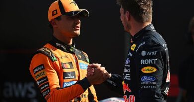 Max Verstappen and Lando Norris get green light to race away from F1 as future confirmed