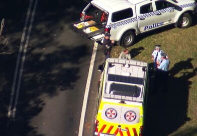 One child dead, two children and woman fighting for life after 'stabbing'