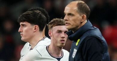 Thomas Tuchel told Cole Palmer has 'the hump' with England boss after World Cup