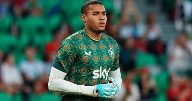 Ireland star issues long statement after refusing to play against Israel