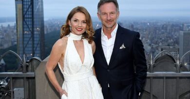 Christian Horner makes Prince Harry and Meghan Markle statement after 'secret lunch'