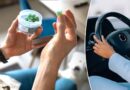 Cannabis edibles impair driving even when THC blood tests are low